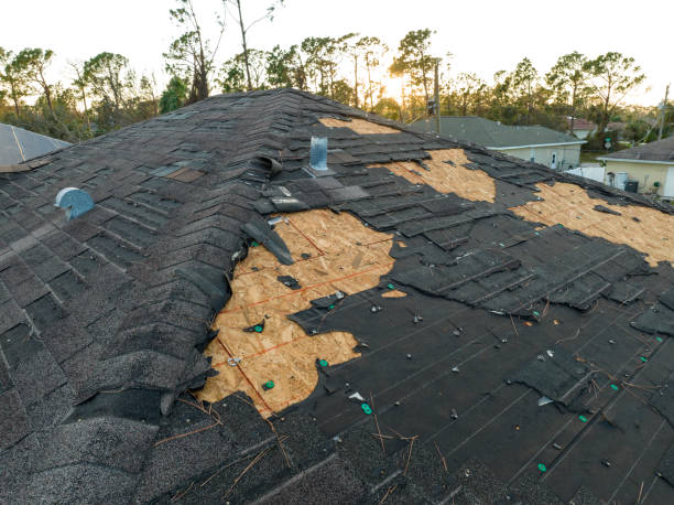 Best Skylight Installation and Repair  in Brewster Hill, NY