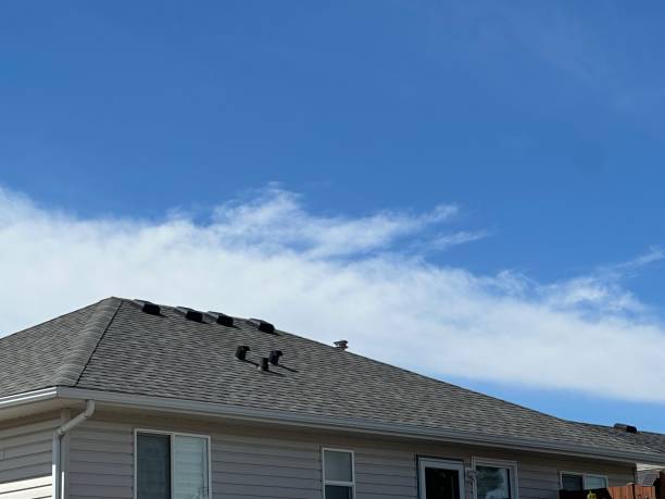 Best Wood Shake Roofing  in Brewster Hill, NY